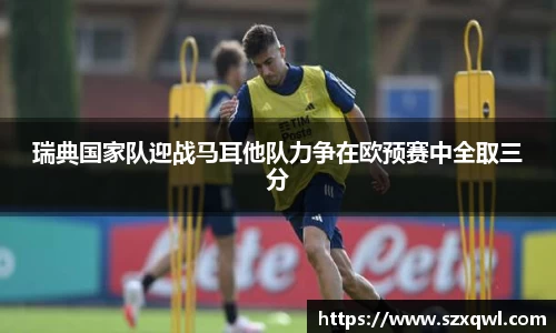 瑞典国家队迎战马耳他队力争在欧预赛中全取三分