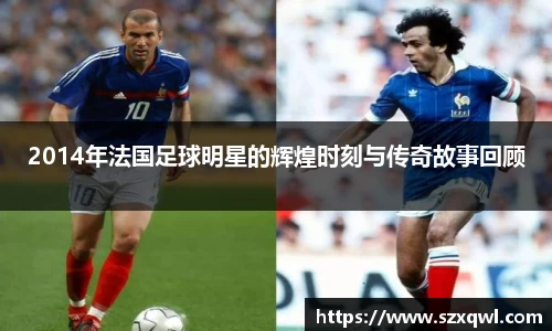 2014年法国足球明星的辉煌时刻与传奇故事回顾